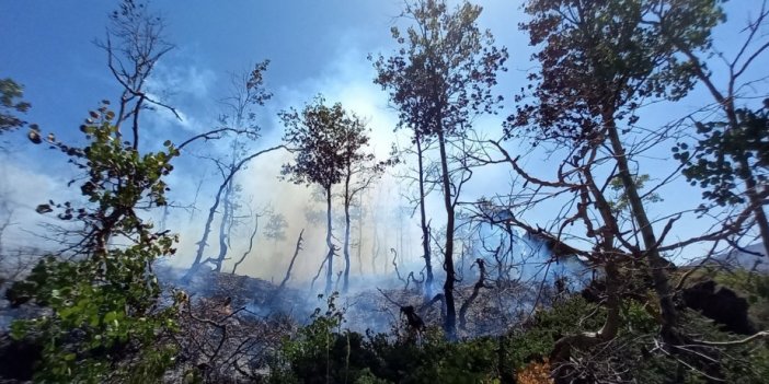 Orman yangınlarına teknolojik tedbir