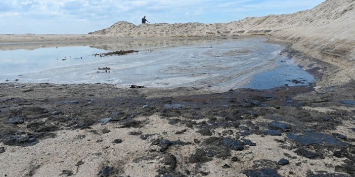 California kıyılarında petrol sızıntısını temizleme çalışmaları başladı