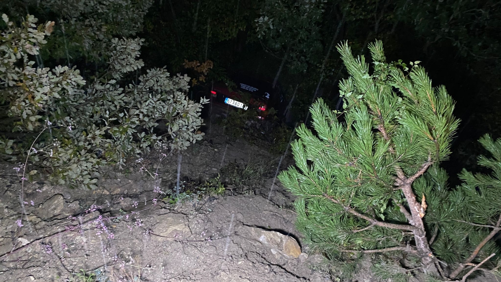 Şarampole yuvarlanan aracı ağaç dalları tuttu: 2 yaralı