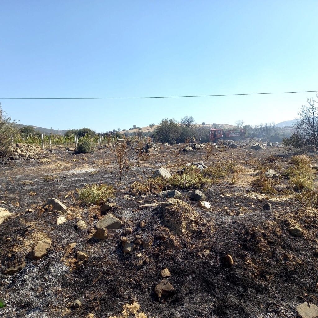 Ormanı yakmaya çalışan şahıs gözaltına alındı