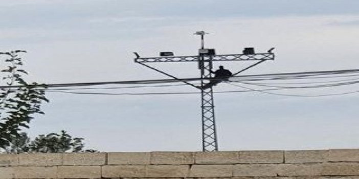 Atlamak için direğe çıktı, valinin gelmeyeceğini öğrenince indi