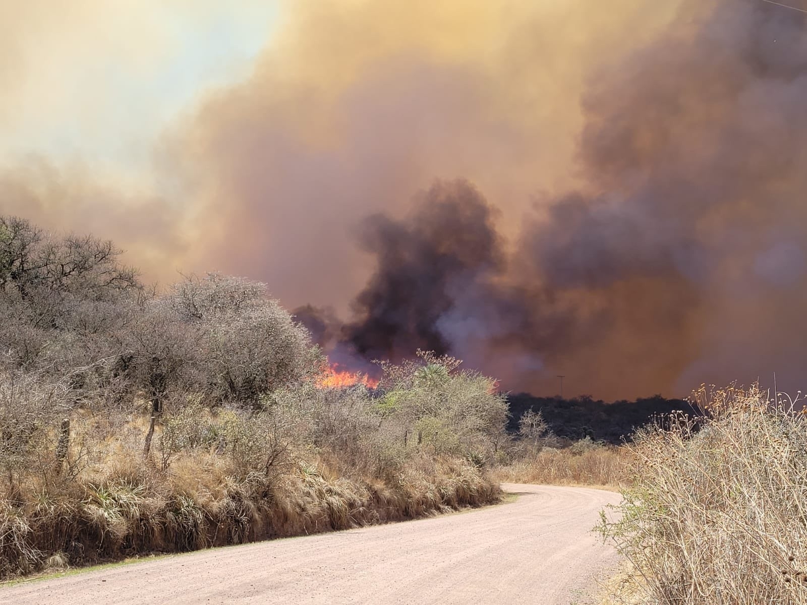 Arjantin’de Çıkan Orman Yangınlarından 2 Kişi Öldü