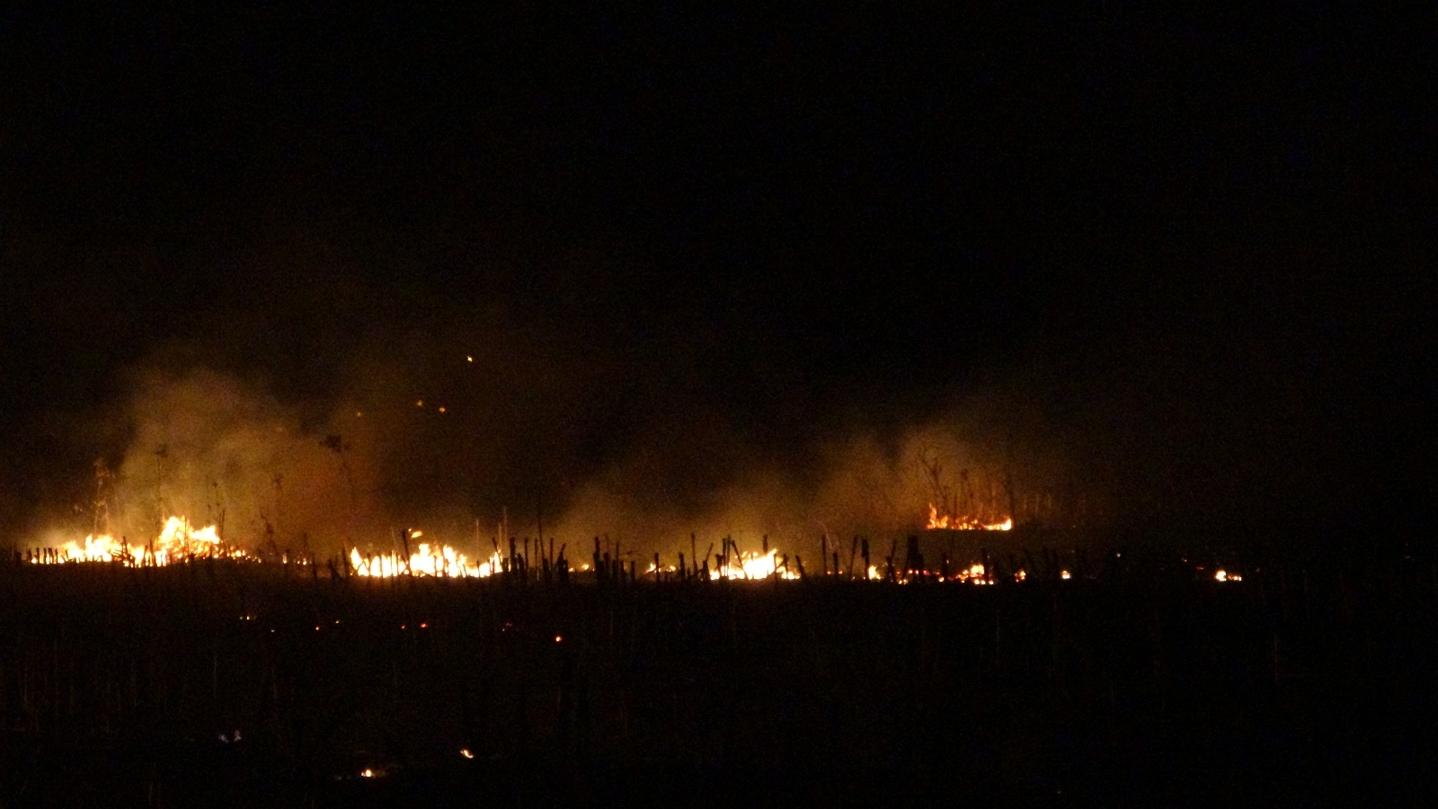 Kozan’da Anız Yangını Korkuttu