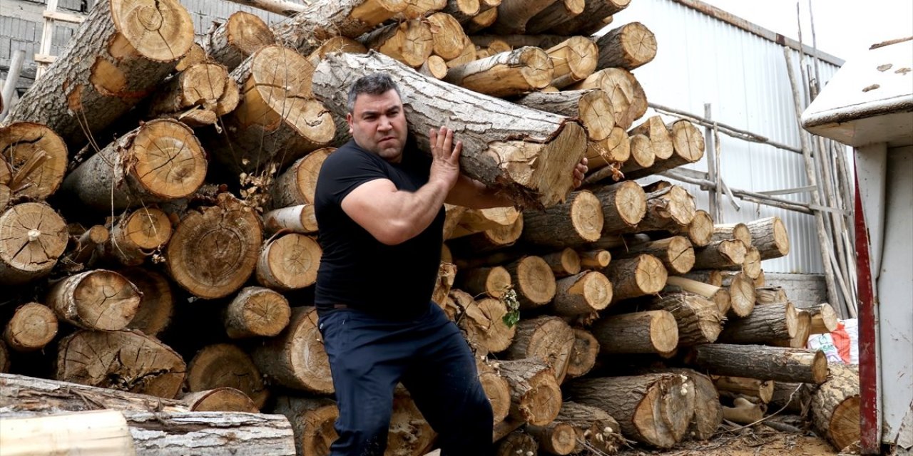 Milli sporcu tomruk taşıyarak şampiyonaya hazırlanıyor