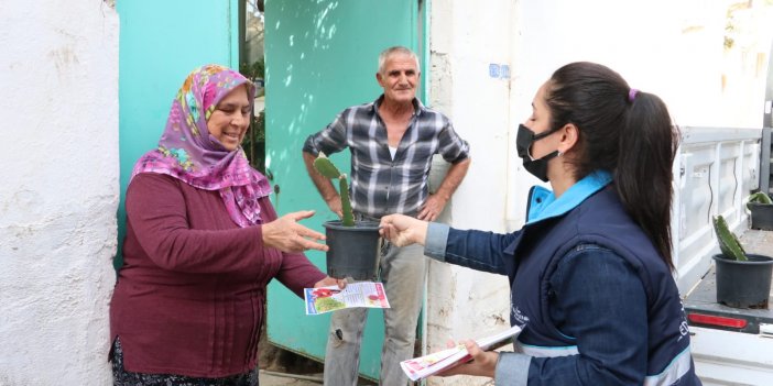 Aydın Büyükşehir Ejder Meyvesi Fidesi Dağıttı