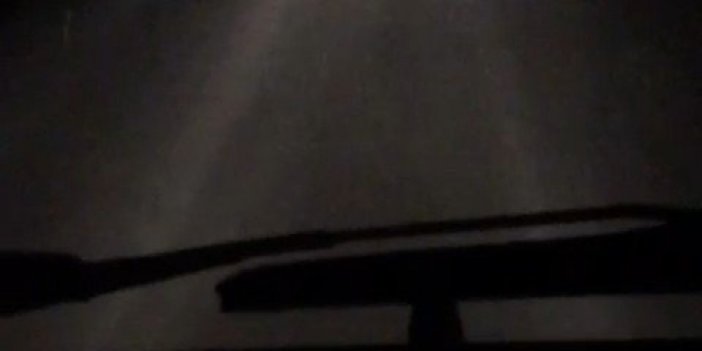 Bursa’da yavru ayılar yola indi