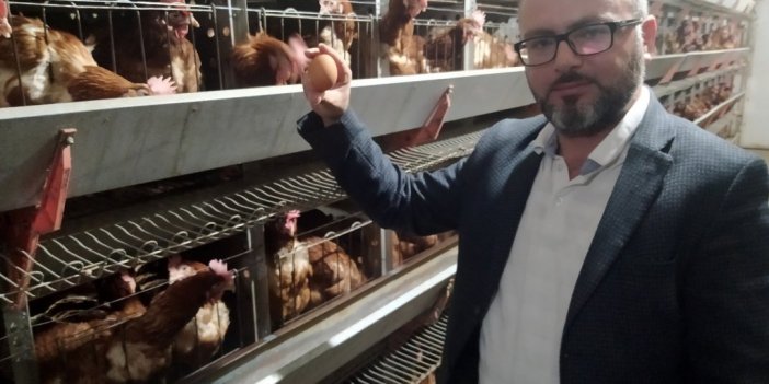 Bayat Yumurta Nasıl Anlaşılır?