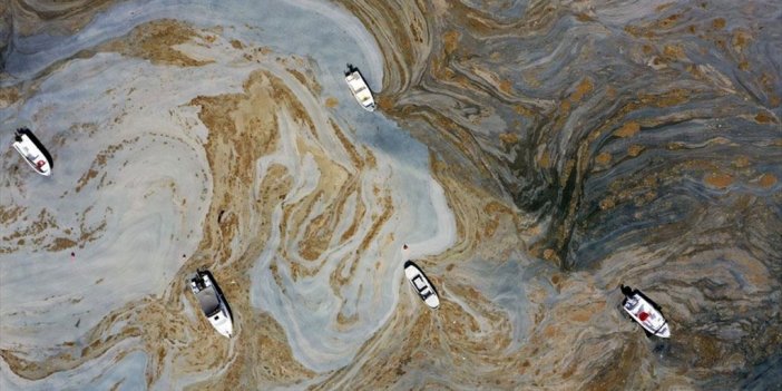 Müsilaj, Balıkları Ne Kadar Etkiledi