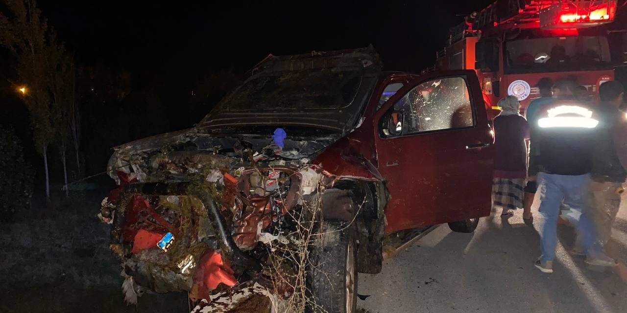 Kamyonet sürüye çarptı: 32 koyun telef oldu