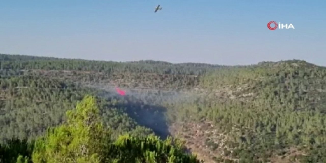 Kudüs’te orman yangını henüz kontrol altına alınamadı