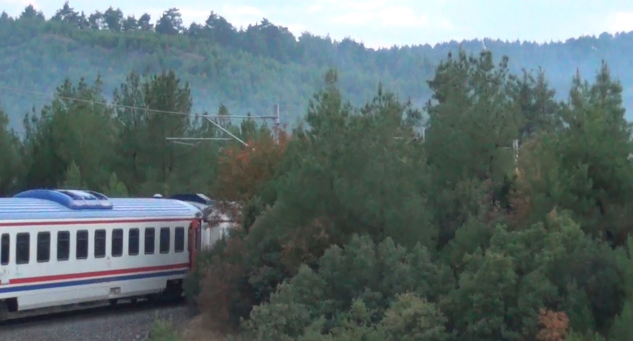 Tavşanlı’da demiryolu güzergahında orman yangını