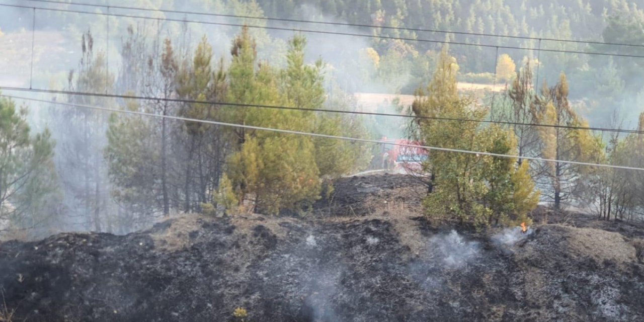 Kütahya'da orman yangını