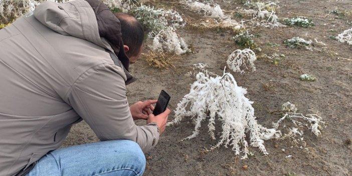 Sarıkamış buz kesti, ağaçlar kırağı tuttu