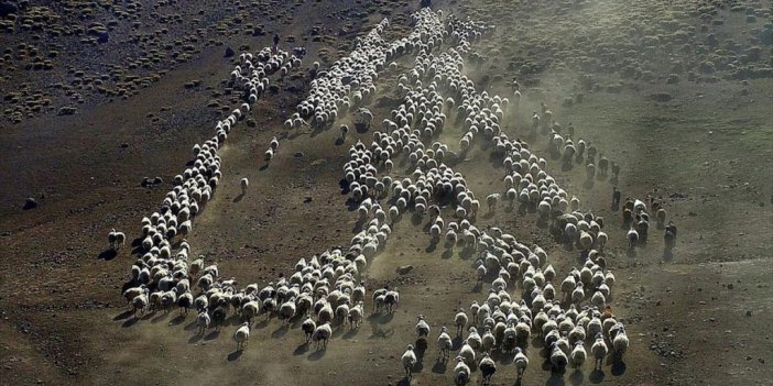 Göçerlerin Günler Sürecek Zorlu Dönüş Yolculuğu Başladı