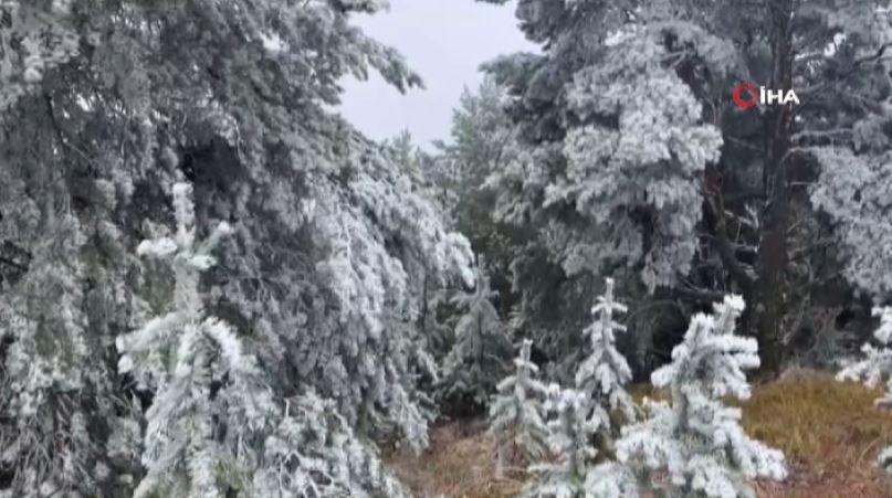 Sarıkamış Buz Kesti