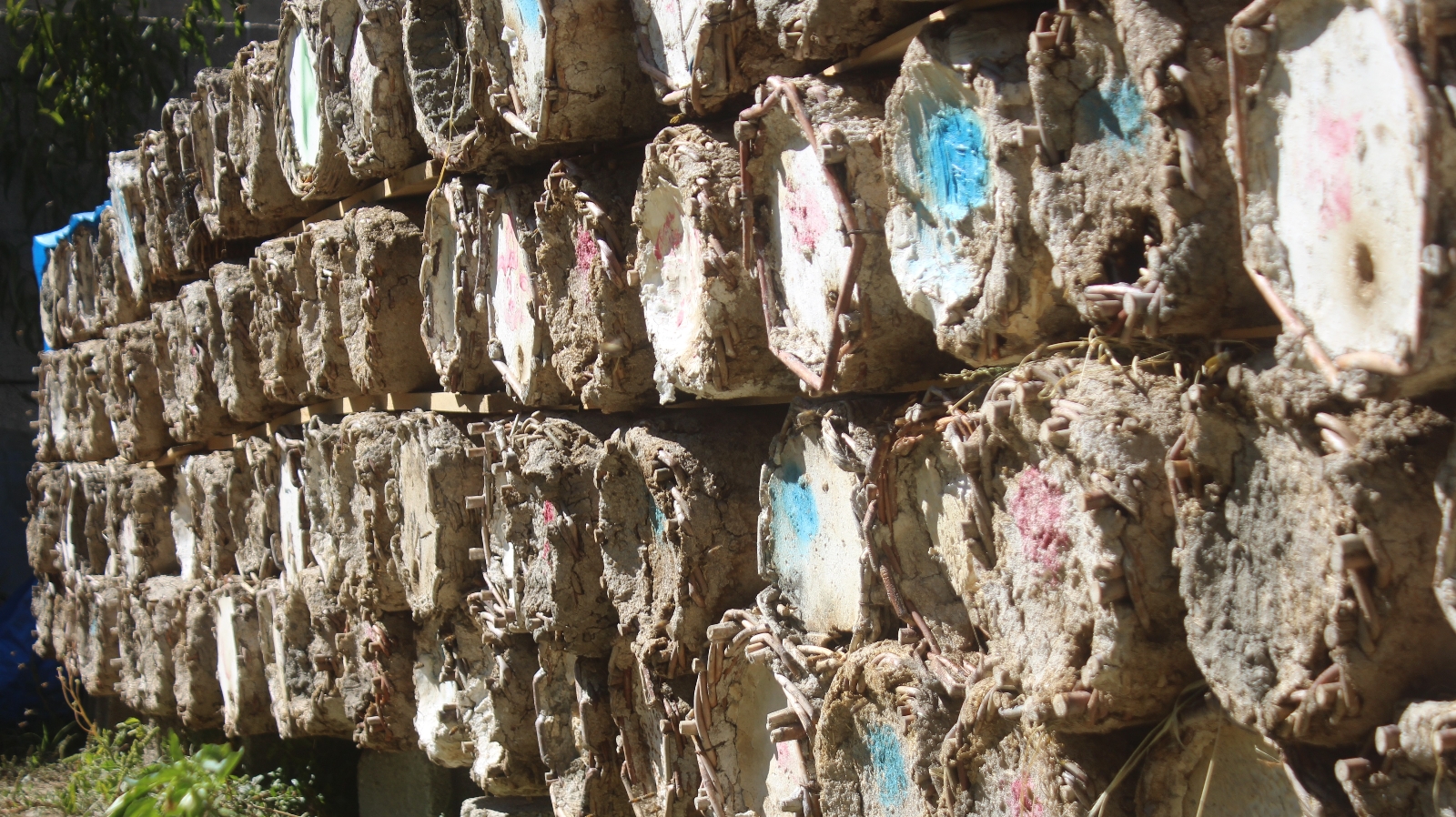 Van’da Organik Karakovan Bal Kesim Festivali