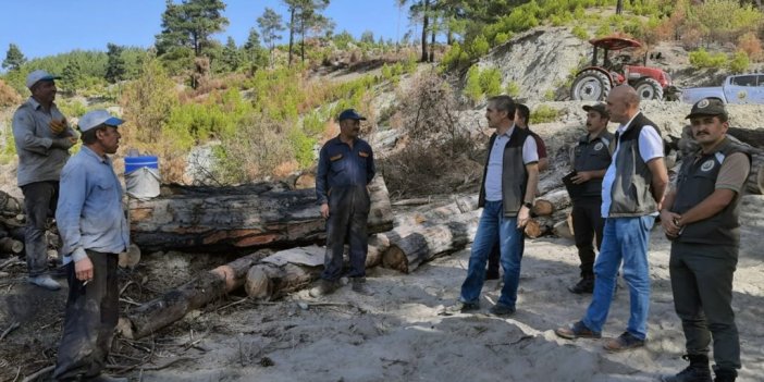 Yanan alanlar fidan dikimine hazırlanıyor