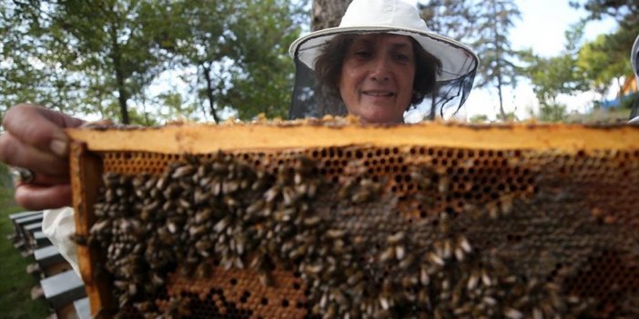 Emekli Öğretmen Profesyonel Arıcı Olmak İçin 60'ında Üniversiteyi Kazandı