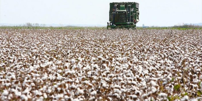 Emtia Piyasalarında Metallerin Performansı Dikkati Çekerken, Pamuk Zirve Tazeledi