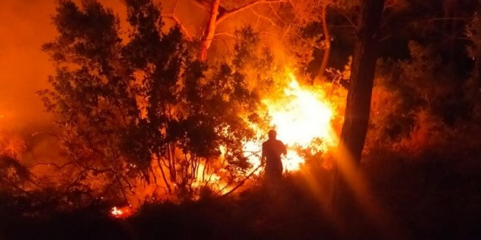 Bodrum 2 noktada yangın çıktı