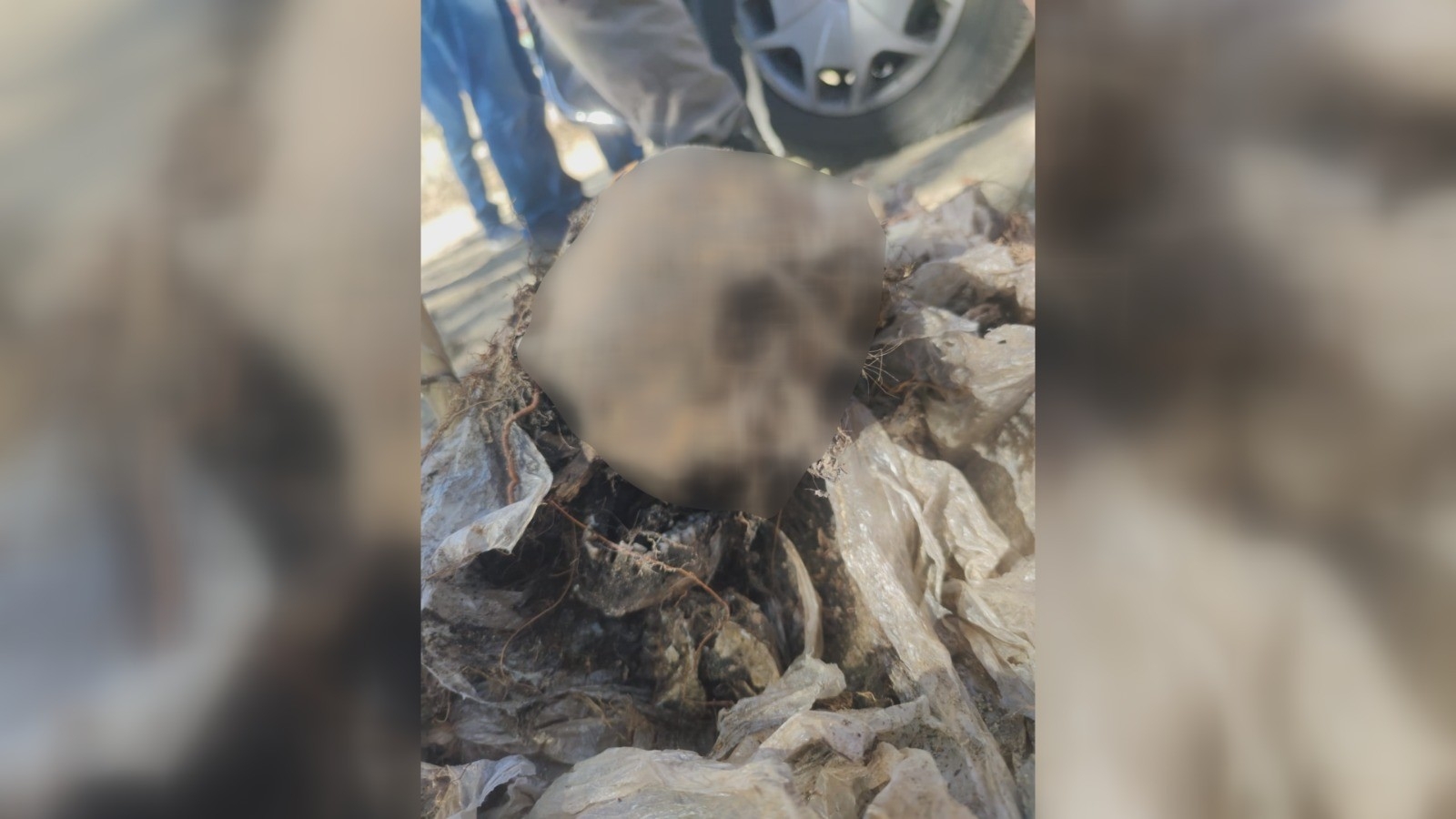 Yasak Aşk Cinayetine Kurban Gittikleri Öğrenildi