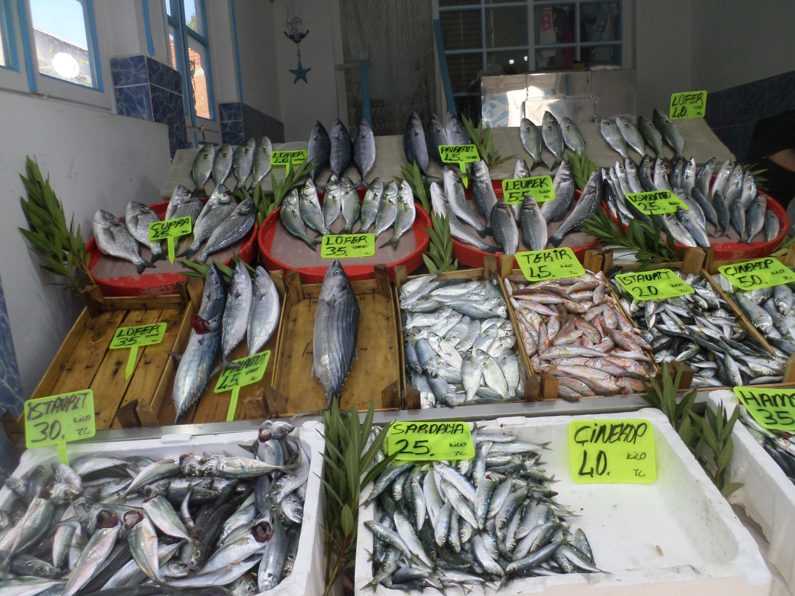 Marmara’da Sıcaklık Düşünce Balık Fiyatları Geriledi