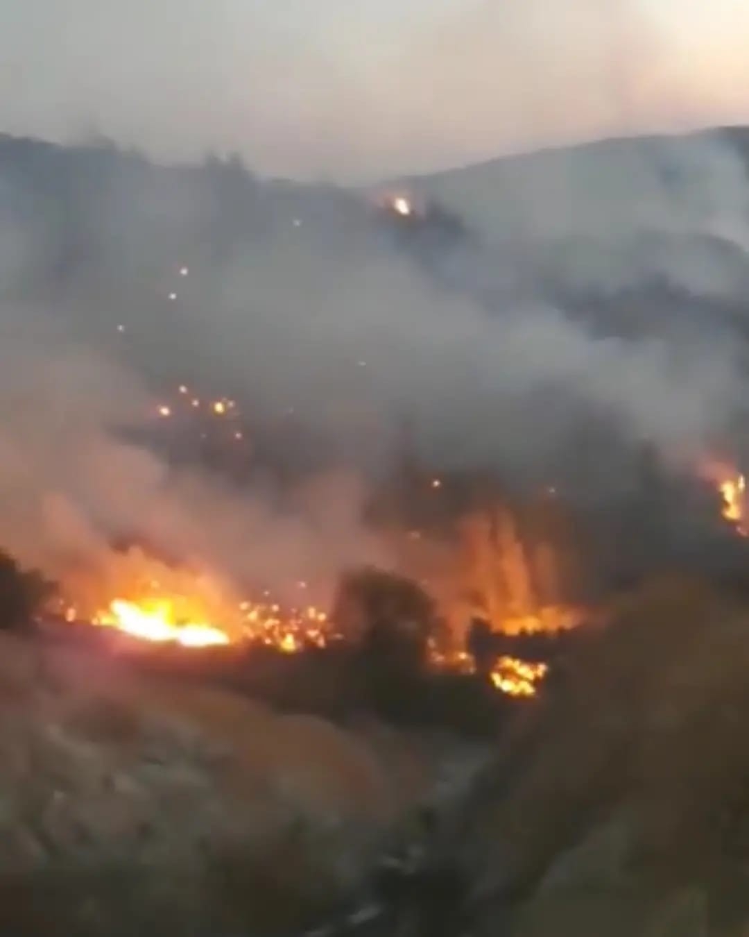 Hatay’da zeytinlik alanda yangın
