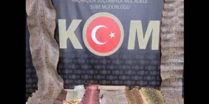 Kaçak yollarla ülkeye sokulan 31 yılan derisi ele geçirildi