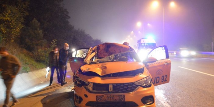 Ticari taksi seyir halindeyken önüne çıkan ata çarptı