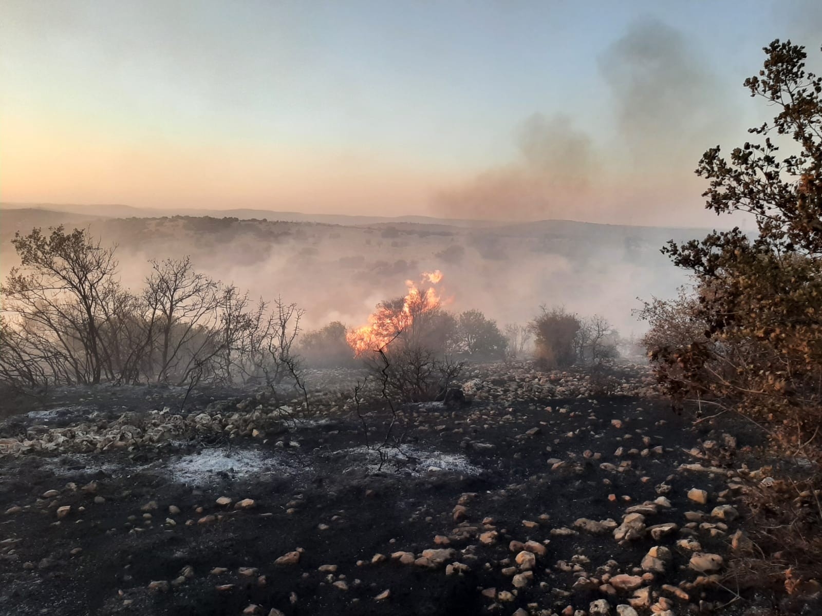 Korkutan Orman Yangını 5 Saatte Kontrol Altına Alındı