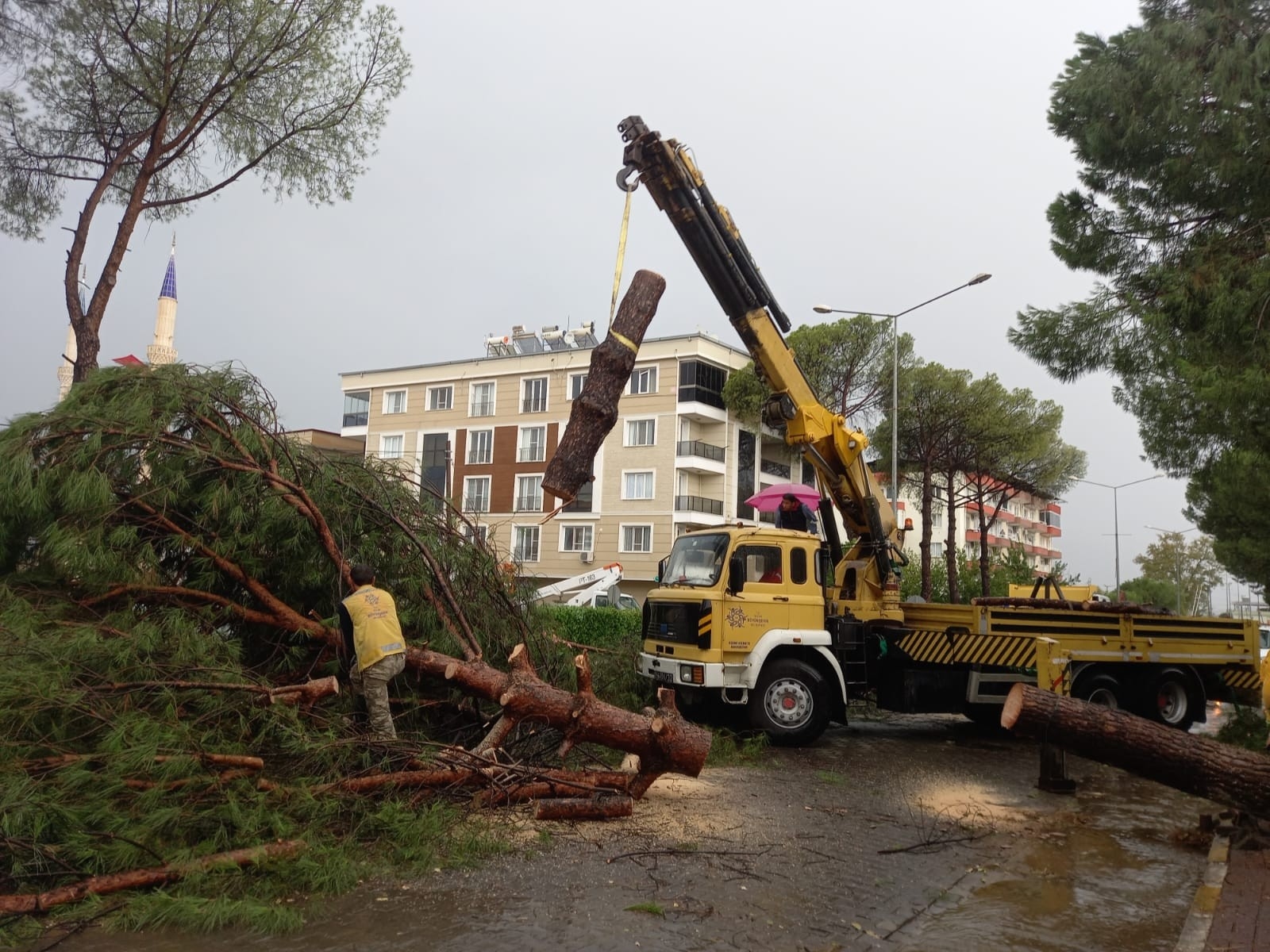 Aydın Büyükşehir Belediyesi Ekiplerinden Fırtınaya Hızlı Müdahale