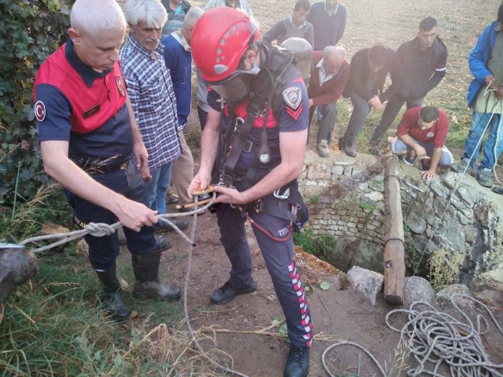 Aydın’da Kuyuya Düşen İneği İtfaiye Ekipleri Kurtardı