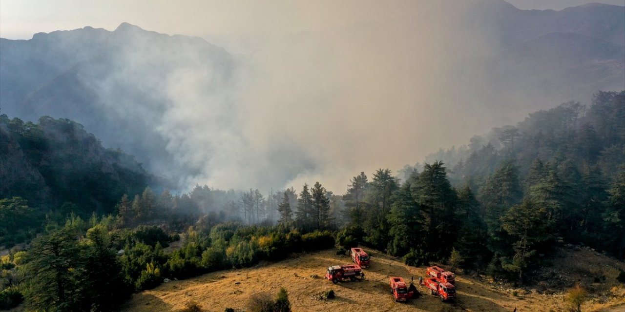 Kemer'de orman yangını