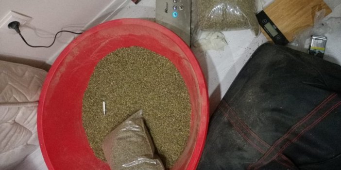 İstanbul’da evinde 55 kilogram bonzai bulunan “Çaki” lakaplı zehir taciri yakalandı