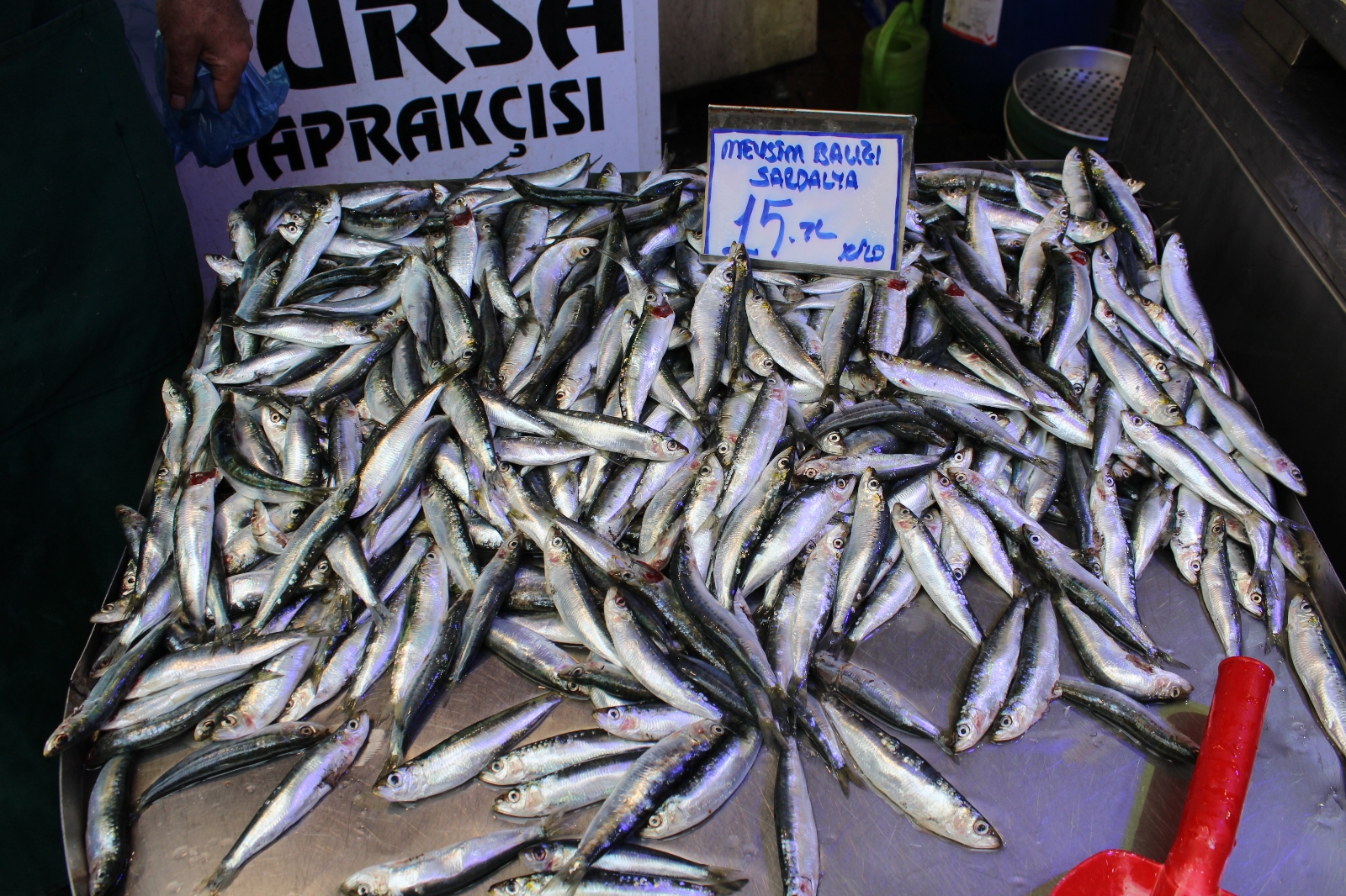 Omega üç deposu sardalya ucuzladı