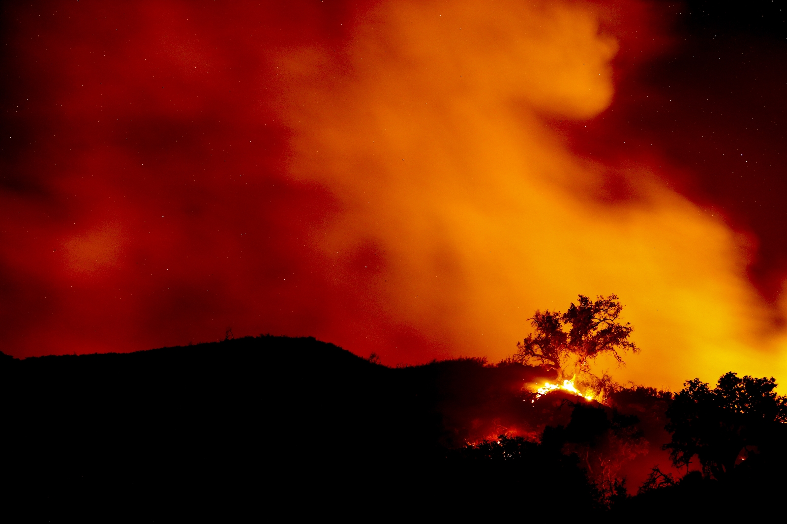 California’da Yangın: 5 Bin 500 Hektar Alan Yandı