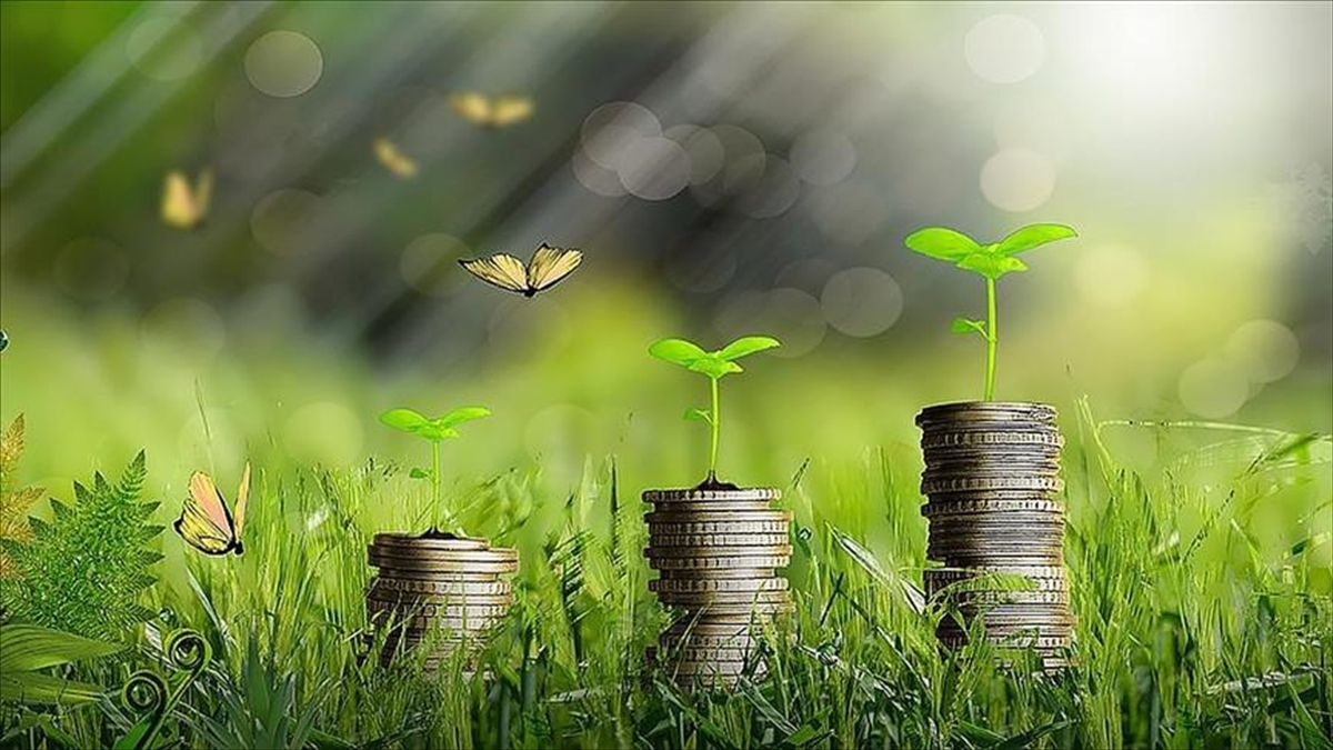 Yeşil Dönüşüm Projesi Olan Genç Girişimcilere 200 Bin Liralık Hibe Desteği Verilecek