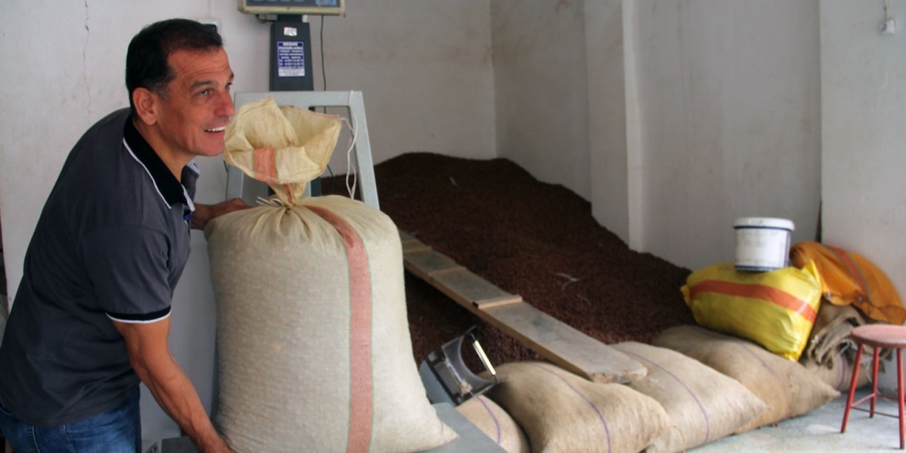 Fındık fiyatı serbest piyasada yükselişini sürdürüyor