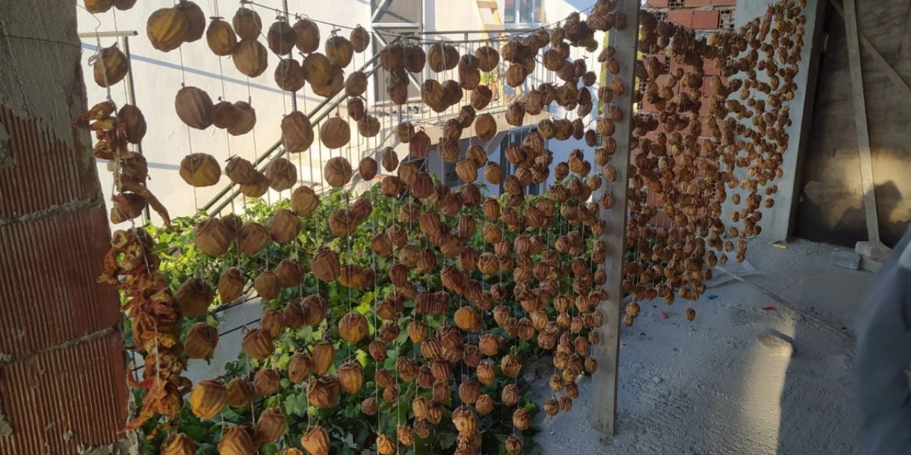 Denizli'de 650 kilo hurma çalan hırsıza operasyon