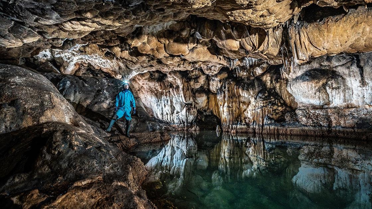 15 İldeki 83 Mağarada Yaşayan Hayvan Türleri Araştırılıyor