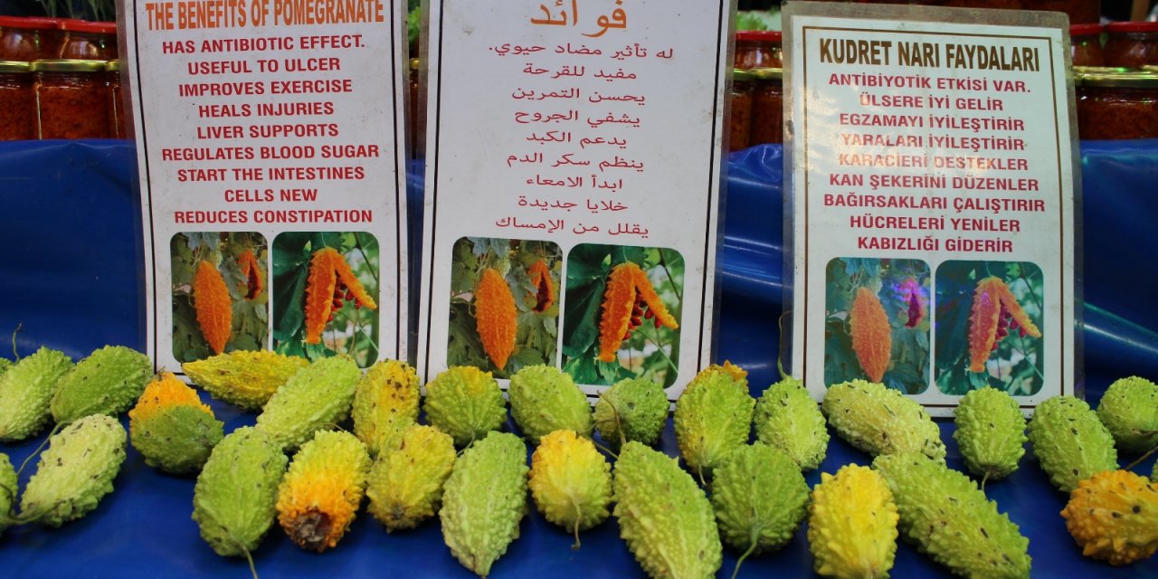 Yaraları iyileştiren böyle ’kudret’li ilaç yok