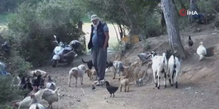 Sultangazi’de 22 yıldır ormanda yaşayan vatandaş: “İSKİ bana buradan çık diyor”