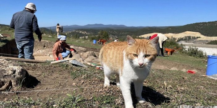 Kahin Tepe Kazı Ekibinin Maskotu: Sarman