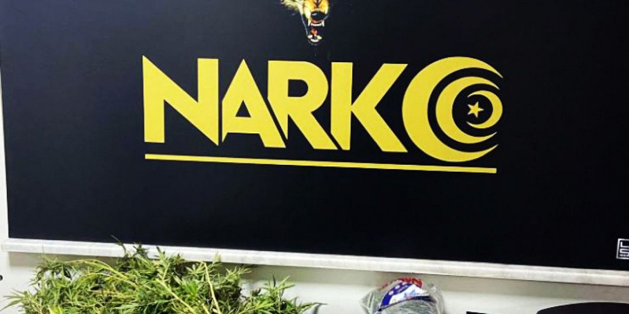 Manisa'daki şahsın ev, araç ve tarlasında esrarla kenevir yakalandı