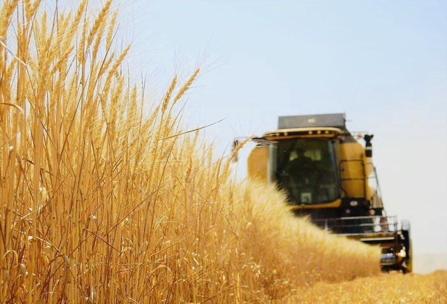 Tarım-GFE yıllık yüzde 28,74 arttı