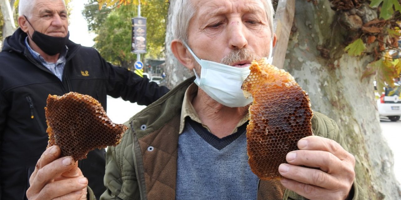 Edirne'de 4 ay önce kaçan kraliçe arı 10 bin arıyla bulundu