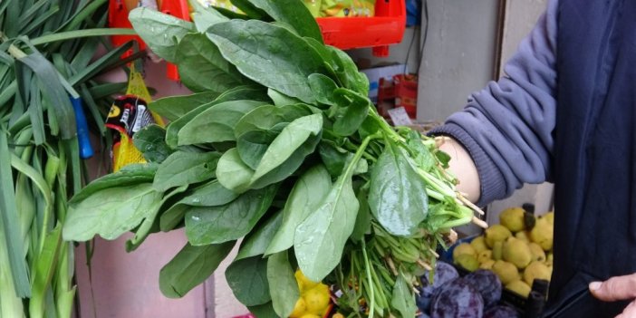 Giresun İl Sağlık Müdüründen Ispanaktan Zehirlenmeyle İlgili Açıklama