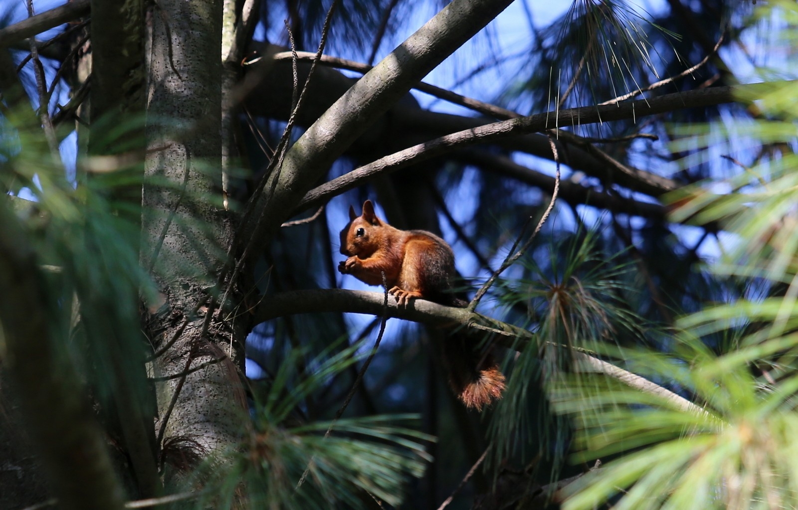 Botanik Park’ta Sonbaharla Birlikte Renkli Görüntüler