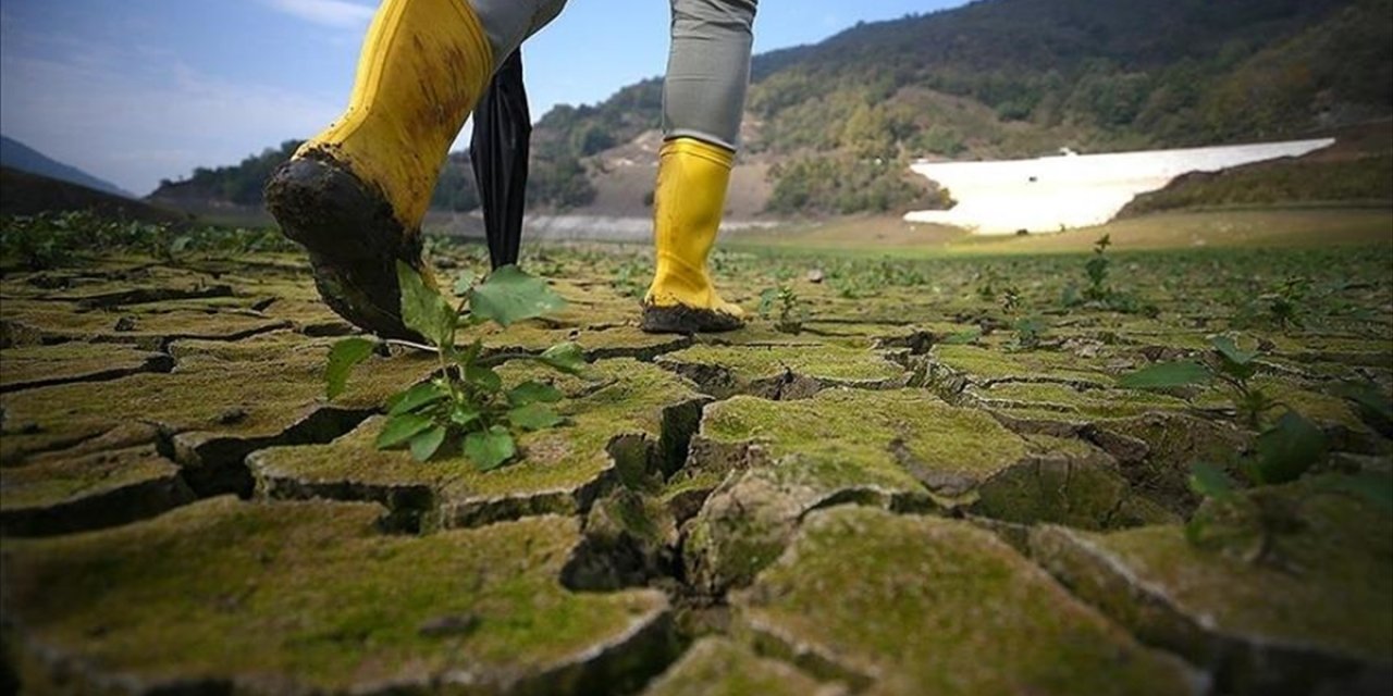 İklim Değişikliğinin Sağlık Üzerindeki Etkileri 'hiç Durmadan' Artıyor