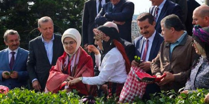 Cemil Çiçek'ten O Fotoğrafa Gönderme!